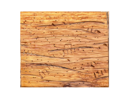 Handcrafted Cedar Wood Window Shutters